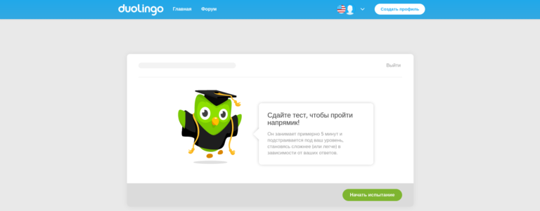 Работает ли duolingo без интернета